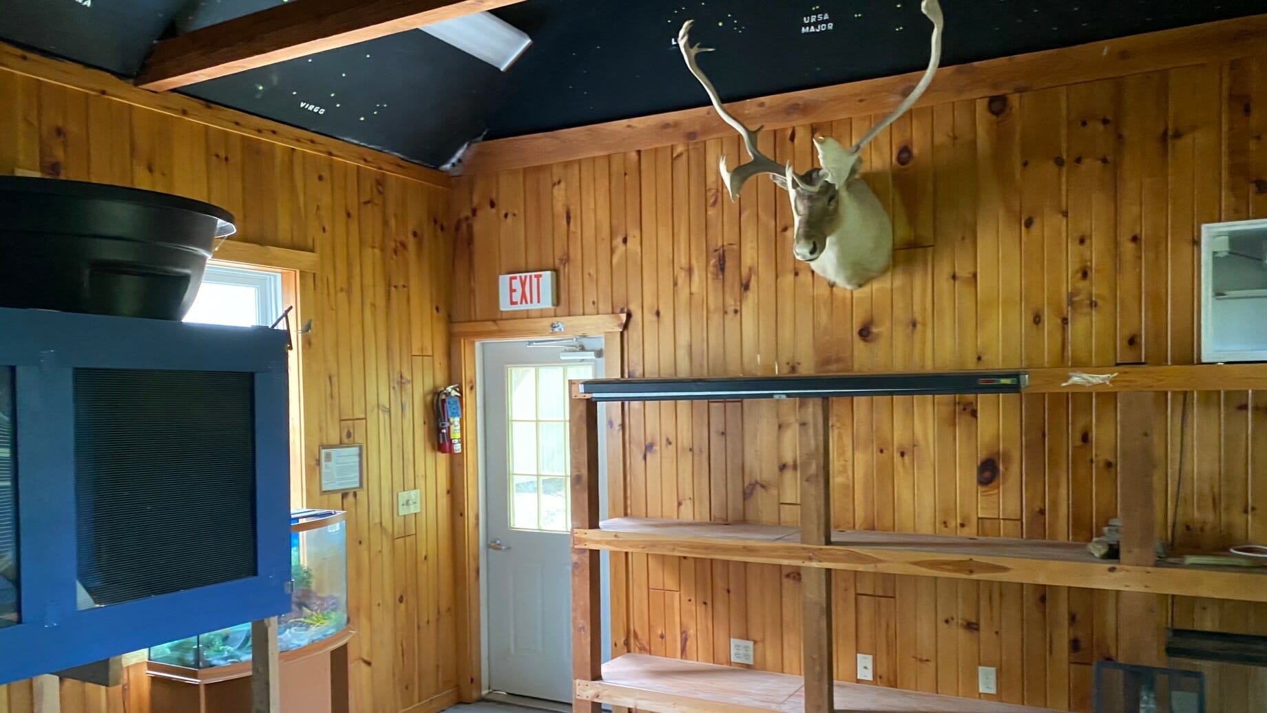 Interior of the nature center with a moose head on the wall