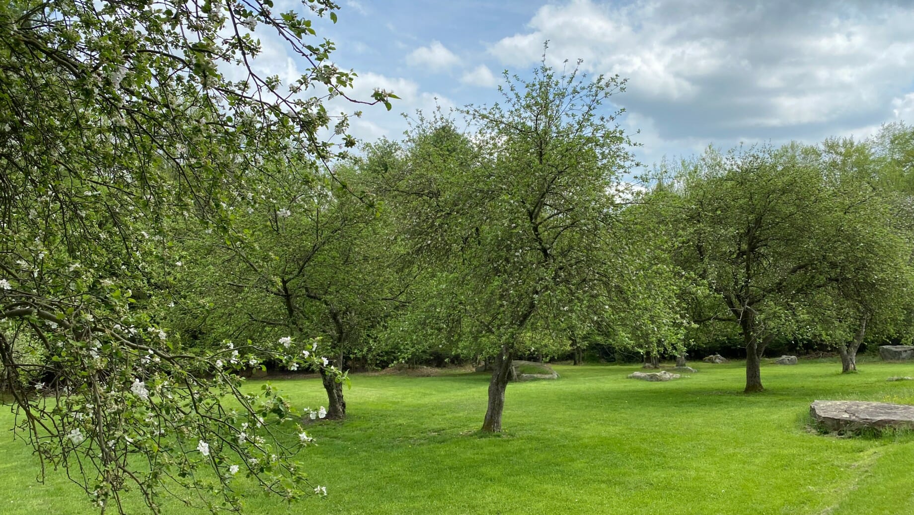 Another part of the picnic area